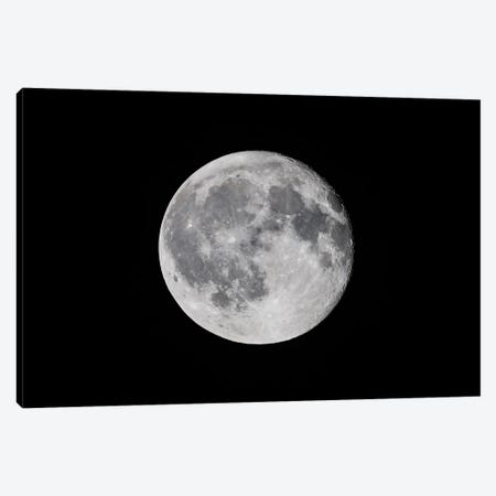 The 15-Day-Old Moon With It High In The Sky And Neutral In Tone. Canvas Print #TRK3147} by Alan Dyer Canvas Print