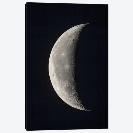 The 23-Day-Old Waning Crescent Moon. Canvas Print #TRK3153} by Alan Dyer Canvas Print