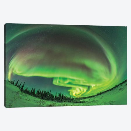 The Aurora Borealis In A Modest Display From Churchill, Manitoba. Canvas Print #TRK3170} by Alan Dyer Canvas Print