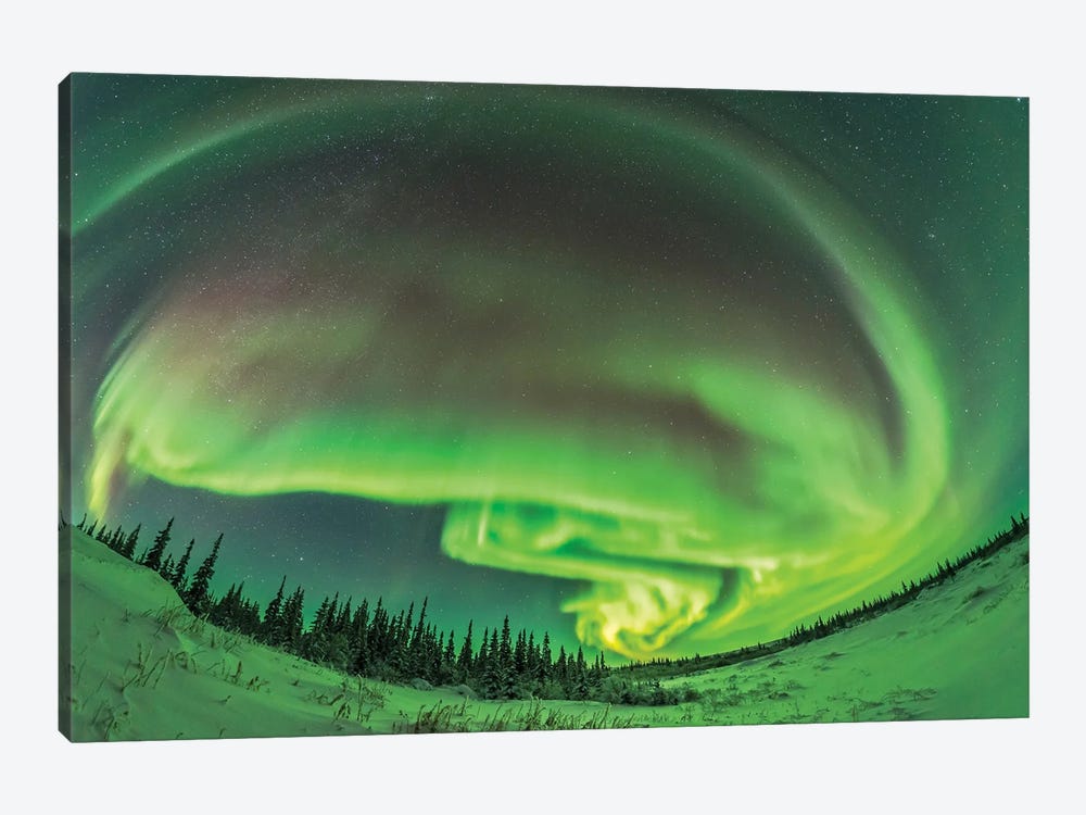 The Aurora Borealis In A Modest Display From Churchill, Manitoba. 1-piece Canvas Print