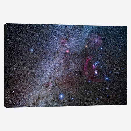 The Constellation Of Orion And Its Brightest Stars, Procyon And Sirius Canvas Print #TRK3194} by Alan Dyer Canvas Art