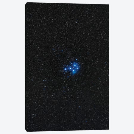 The Pleiades Star Cluster. Canvas Print #TRK3236} by Alan Dyer Art Print