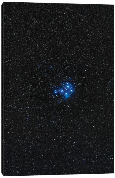 The Pleiades Star Cluster. Canvas Art Print