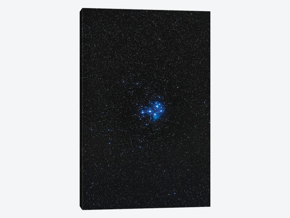 The Pleiades Star Cluster. by Alan Dyer 1-piece Art Print