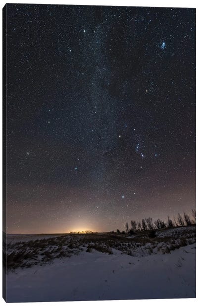 The Stars, Milky Way, And Constellations Of The Northern Winter Sky. Canvas Art Print
