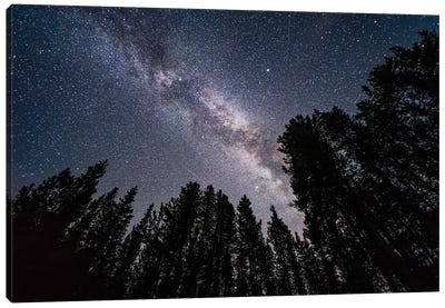 The Summer Milky Way Looking Up Through Trees In Banff National Park, Canada. Canvas Art Print - Milky Way Galaxy Art