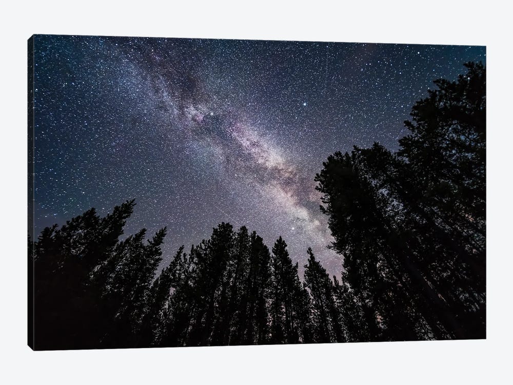 The Summer Milky Way Looking Up Through Trees In Banff National Park, Canada. by Alan Dyer 1-piece Canvas Art Print