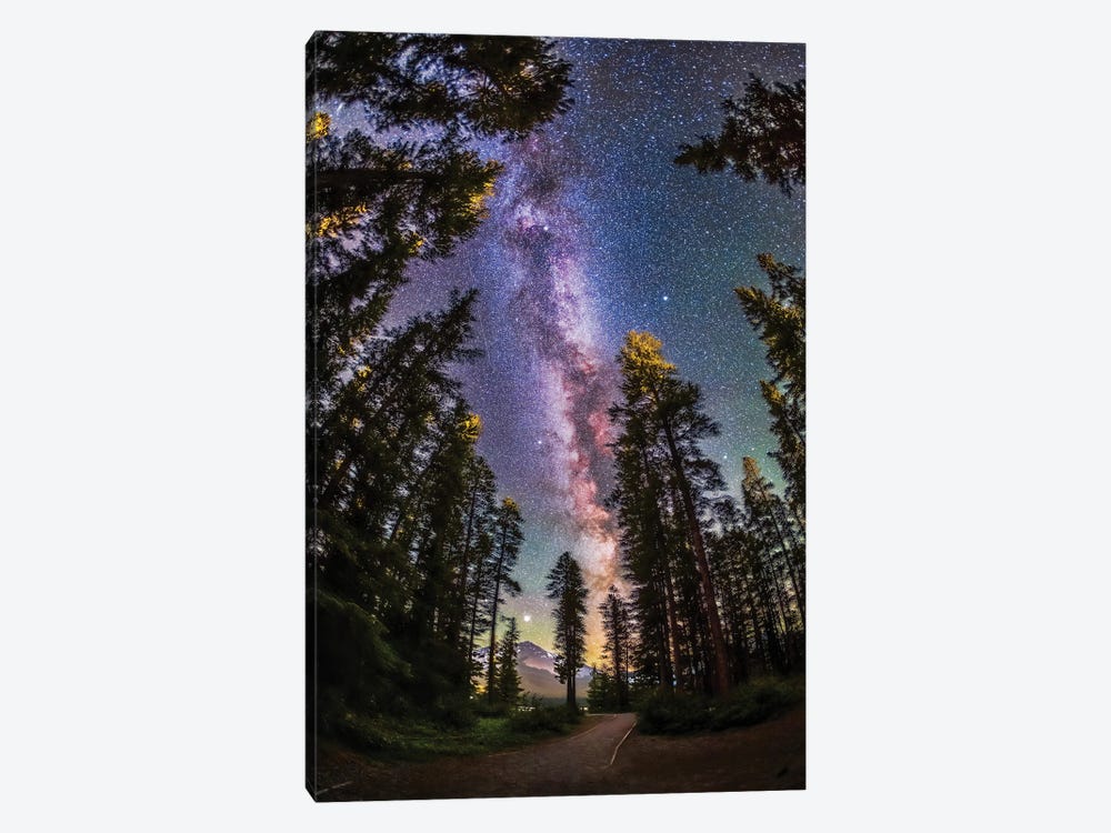The Summer Milky Way With Through Pine Trees In Banff National Park, Alberta, Canada. by Alan Dyer 1-piece Canvas Art Print