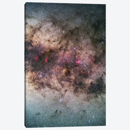 The Tail Of Scorpius In The Milky Way. Canvas Print #TRK3263} by Alan Dyer Canvas Print
