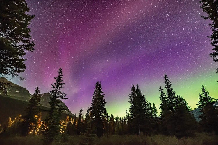 The Unusual Steve Auroral Arc Across The Northern Sky At Bow Lake, Banff National Park, Alberta, Canada.