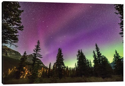 The Unusual Steve Auroral Arc Across The Northern Sky At Bow Lake, Banff National Park, Alberta, Canada. Canvas Art Print