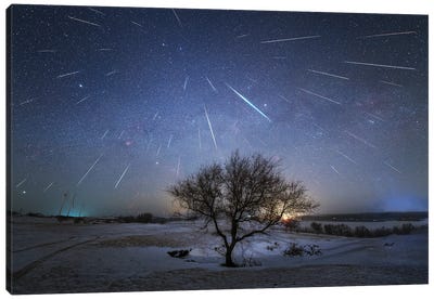 The Annual Geminid Meteor Shower Is Raining Down On Planet Earth, China Canvas Art Print - Jeff Dai
