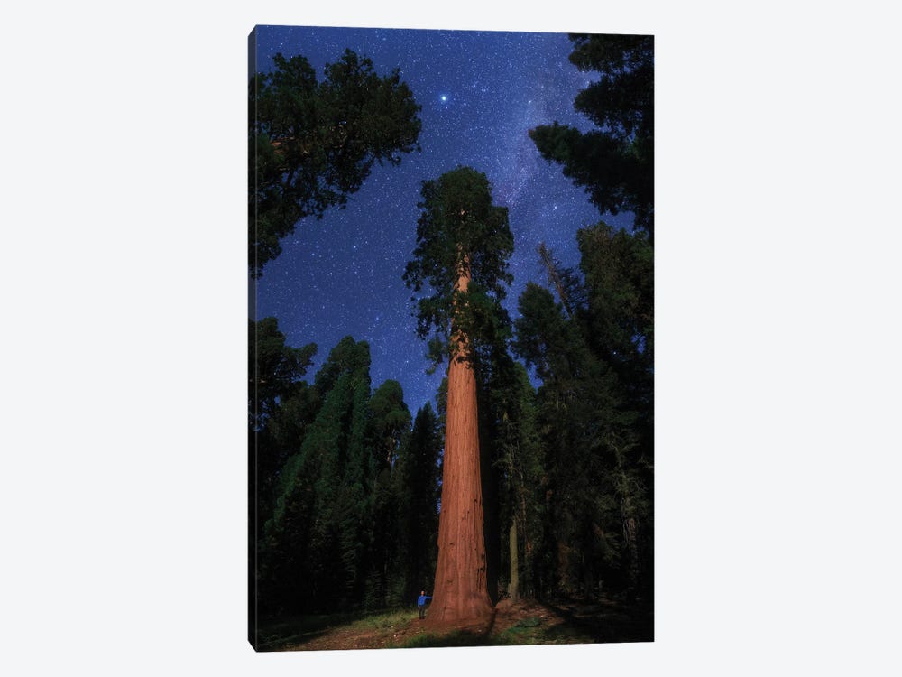 View From Sequoia National Park, California, USA by Jeff Dai 1-piece Canvas Art