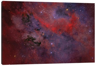 Dark Nebula P91 Is A Dust Formation In The Constellation Cygnus Canvas Art Print
