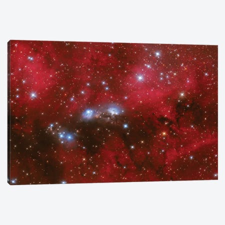 NGC 6914 Is A Reflection Nebula In The Constellation Of Cygnus Canvas Print #TRK3375} by Lorand Fenyes Canvas Art