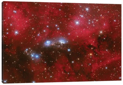 NGC 6914 Is A Reflection Nebula In The Constellation Of Cygnus Canvas Art Print
