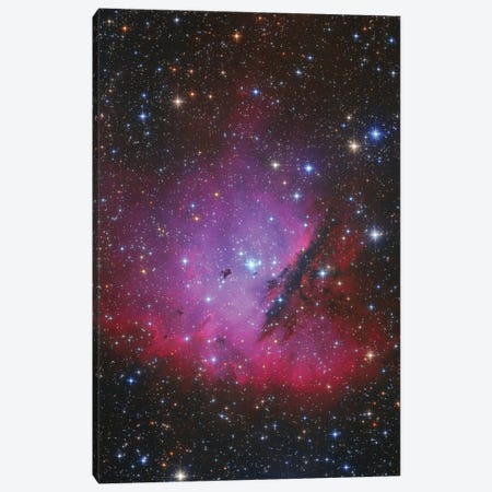 Pacman Nebula, NGC 281 Canvas Print #TRK3376} by Lorand Fenyes Canvas Art