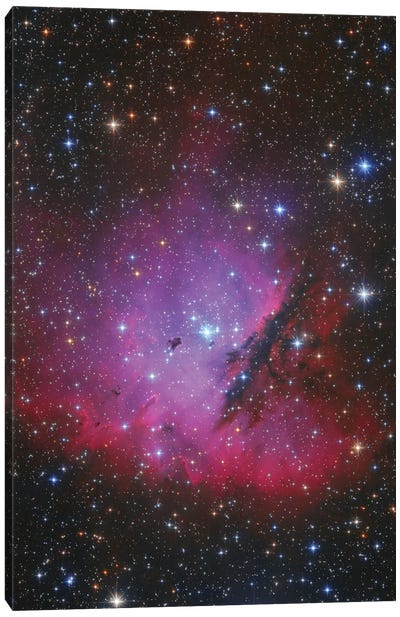 Pacman Nebula, NGC 281 Canvas Art Print