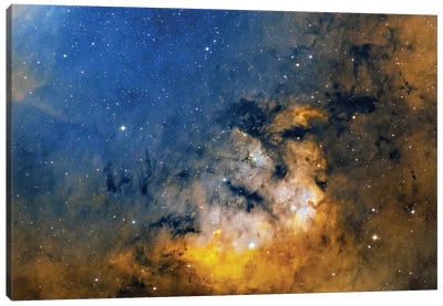 Starforming Region Known As Cederblad 214 Canvas Art Print