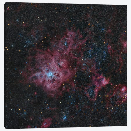 Tarantula Nebula Canvas Print #TRK3389} by Michael Miller Canvas Art
