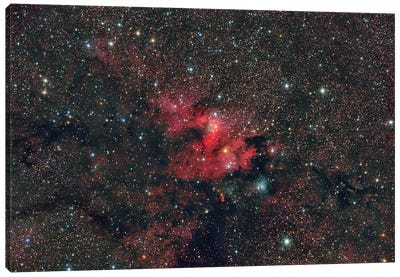 Emission Nebula SH2-155, The Cave Nebula Canvas Art Print