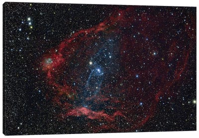 Flying Bat Nebula (SH2-129), And The Squid Nebula (OU4) Canvas Art Print