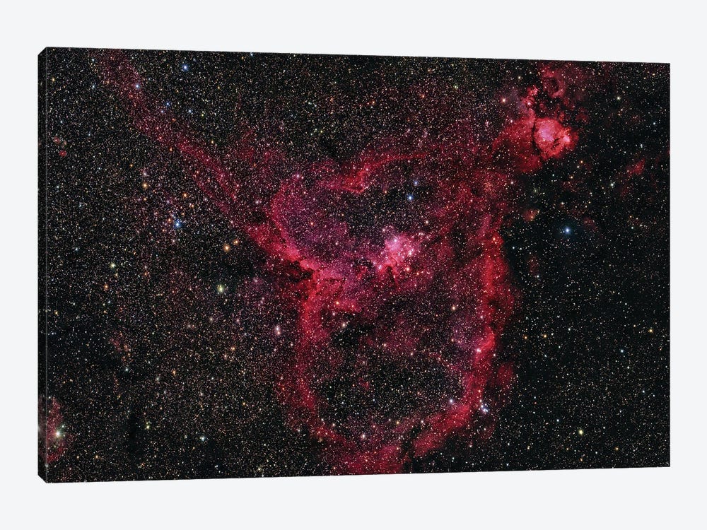 IC 1805, The Heart Nebula by Reinhold Wittich 1-piece Canvas Print