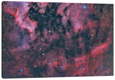IC 5068, Nebula In The Constellation Cygnus Canvas Art Print