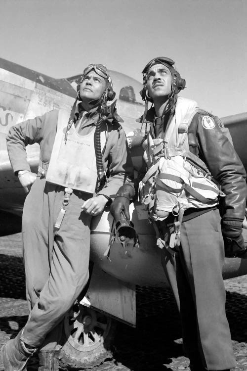 Photo Of Tuskegee Airmen Posing With A P-51D Aircraft by Stocktrek Images wall art