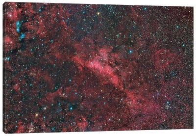 LBn 251 Emission And Reflection Nebula In The Constellation Cygnus Canvas Art Print