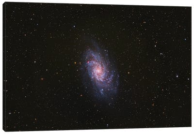 Messier 33, The Triangulum Galaxy Canvas Art Print