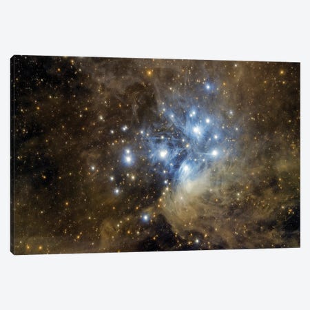 Messier 45, The Pleiades Canvas Print #TRK3404} by Reinhold Wittich Canvas Artwork