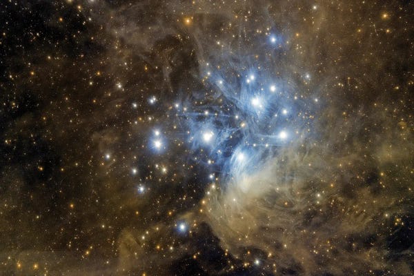 Astronomy & Space Collection: Messier 45, The Pleiades by Reinhold Wittich