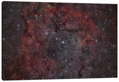 VDB 142, The Elephant Trunk Nebula Canvas Art Print
