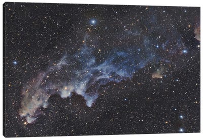 Witch Head Nebula, IC 2118 Canvas Art Print