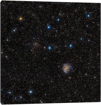 A Face-On Intermediate Spiral Galaxy Canvas Art Print