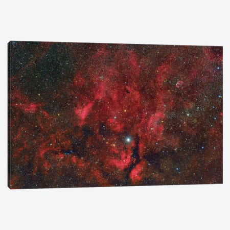 A Wide-Field View From The Propeller Nebula To The Crescent Nebula Canvas Print #TRK3424} by Roberto Colombari Canvas Wall Art