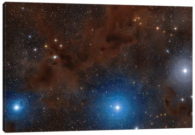 Dark Nebulae In Lupus Constellation Canvas Art Print