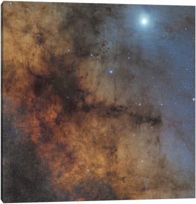 The Pipe Nebula II Canvas Art Print