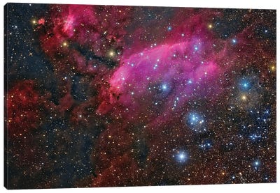 The Prawn Nebula In The Constellation Scorpius Canvas Art Print