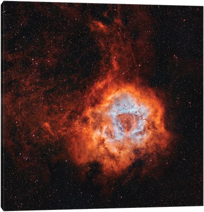 The Rosette Nebula, With Open Cluster NGC 2244 Canvas Art Print