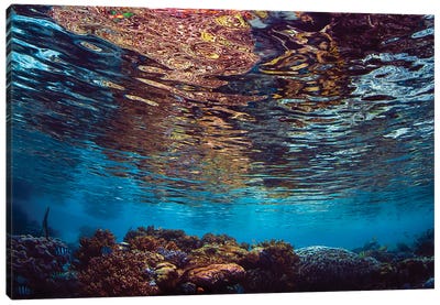 Serene Shallow Water Reef Scene With Reflections In Raja Ampat, Indonesia Canvas Art Print