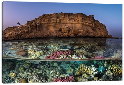 A Beautiful Coral Reef Sits Just Under The Surface Of The Water Near A Desert Mountain Canvas Art Print