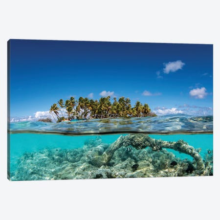 A Small Island In Tahiti And The Water Before It, French Polynesia Canvas Print #TRK3590} by Brook Peterson Canvas Print