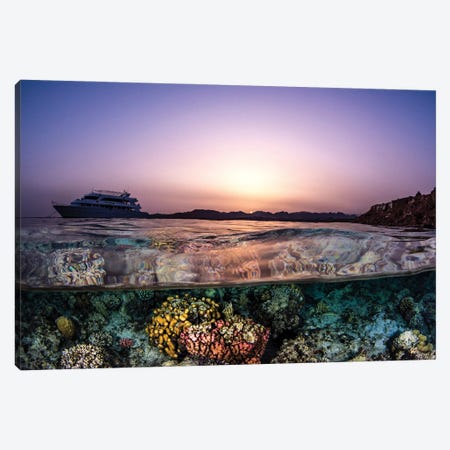 A Split Shot Featuring A Liveaboard In The Red Sea Canvas Print #TRK3591} by Brook Peterson Canvas Art Print