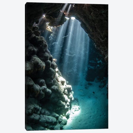 An Under Water Cavern Is Illuminated By Sunbeams, Red Sea Canvas Print #TRK3600} by Brook Peterson Canvas Print