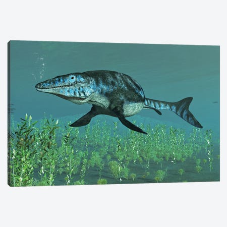 Mosasaur Swimming In The Meuse River Canvas Print #TRK3823} by Arthur Dorety Canvas Art Print