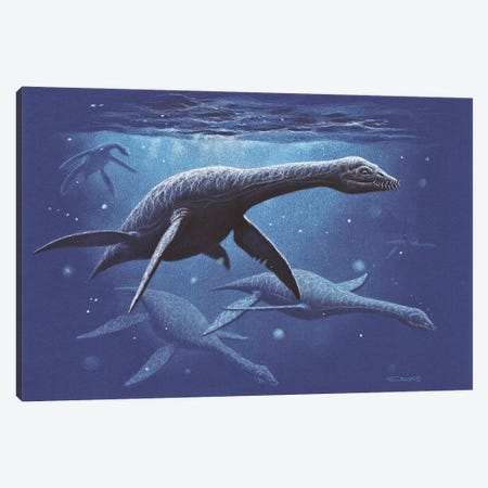A Group Of The Plesiosaur Species Djupedalia Swimming By Canvas Print #TRK3827} by Esther van Hulsen Canvas Artwork