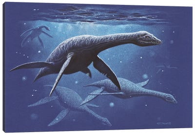 A Group Of The Plesiosaur Species Djupedalia Swimming By Canvas Art Print