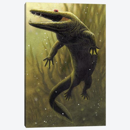 Mastodonsaurus, An Extinct Genus Of Temnospondyli Amphibian From The Middle Triassic Canvas Print #TRK3831} by Esther van Hulsen Canvas Art